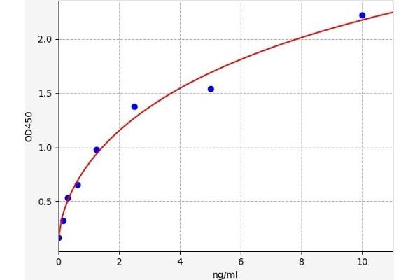 SIRT5 ELISA Kit