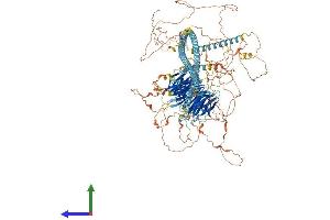 AlphaFold protein structure predicition of Human Recombinant MAPK8IP3 Protein, UniprotID Q9UPT6 (JIP3 Protein (AA 1-1336) (His tag))