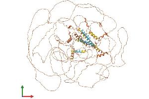 AlphaFold protein structure predicition of Human Recombinant SPATA31A7 Protein, UniprotID Q8IWB4 (FAM75A4 Protein (AA 1-1347) (His tag))