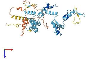 Protein Structure (PS) image for Zinc Finger Protein 763 (ZNF763) (AA 1-394) protein (His tag) (ABIN7545494)