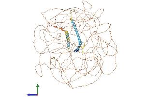 AlphaFold protein structure predicition of Human Recombinant TCOF1 Protein, UniprotID Q13428
