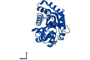 AlphaFold protein structure predicition of Mouse Recombinant Inmt Protein, UniprotID P40936 (INMT Protein (AA 1-264) (His tag))