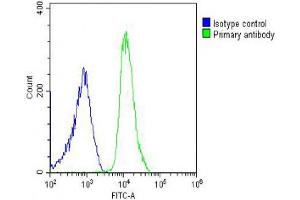 Overlay histogram showing U-2OS cells stained with (ABIN6244202 and ABIN6578629) (green line). (SH3PXD2B antibody  (AA 596-628))