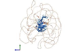 AlphaFold protein structure predicition of Human Recombinant USP42 Protein, UniprotID Q9H9J4 (USP42 Protein (AA 1-1324) (His tag))