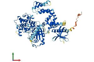 Protein Structure (PS) image for Adrenergic, Beta, Receptor Kinase 2 (ADRBK2) (AA 1-688) protein (His tag) (ABIN7557313)