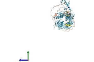 Protein Structure (PS) image for Zinc Finger Protein 780B (ZNF780B) (AA 1-833) protein (His tag) (ABIN7545279)
