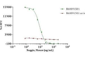 Noggin, Mouse inhibit BMP-4 induced alkaline phosphatase production in ATDC-5 cells in the presence of 10 ng/ml human BMP-4. (NOG Protein (AA 20-232))
