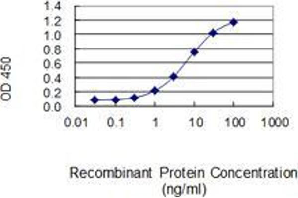 AHSA2 antibody  (AA 1-137)