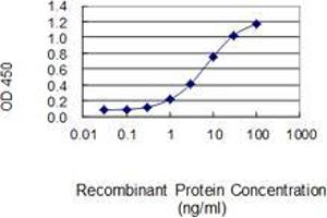 Detection limit for recombinant GST tagged AHSA2 is 0. (AHSA2 antibody  (AA 1-137))