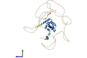 AlphaFold protein structure predicition of Human Recombinant ENTHD1 Protein, UniprotID Q8IYW4