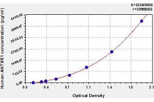 Typical Standard Curve (ANTXR1 ELISA Kit)