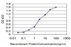 Detection limit for recombinant GST tagged FLT4 is approximately 0. (FLT4 antibody  (AA 34-133))