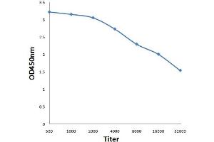 Antigen: 0. (NFKBIA antibody  (pTyr305))