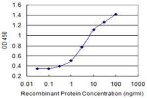 Detection limit for recombinant GST tagged ENPP3 is 0. (ENPP3 antibody  (AA 602-699))