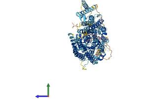 AlphaFold protein structure predicition of Human Recombinant PIGG Protein, UniprotID Q5H8A4 (PIGG Protein (AA 1-983) (His tag))