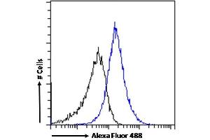 (ABIN570832) Flow cytometric analysis of paraformaldehyde fixed A431 cells (blue line), permeabilized with 0.