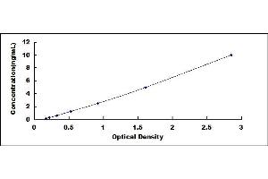 Typical standard curve (HSF2 ELISA Kit)