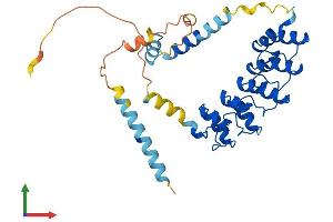 Protein Structure (PS) image for Ankyrin Repeat Domain 2 (Stretch Responsive Muscle) (ANKRD2) (AA 1-328) protein (His tag) (ABIN7556297)
