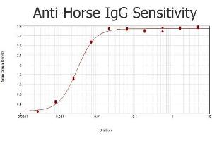 ELISA results of purified Rabbit anti-Horse IgG Antibody Peroxidase Conjugated tested against purified Horse IgG.