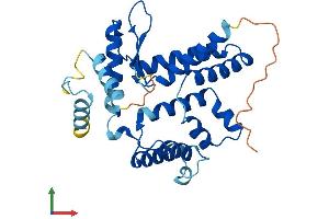 Protein Structure (PS) image for Lix1 Homolog (LIX1) (AA 1-282) protein (His tag) (ABIN7557994)