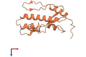Myelodysplastic Syndrome 2 Translocation Associated (MDS2) (AA 1-140) protein (His tag)
