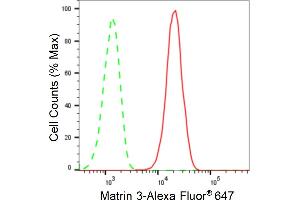 Flow cytometric analysis of Matrin 3 expression in HAP-1 cells using Matrin 3 antibody (ABIN7799337), 1:2,000).