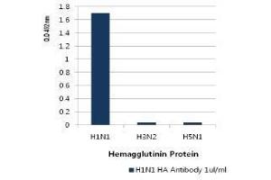 Image no. 1 for anti-Influenza A Virus H1N1 antibody  (AA 18-344) (ABIN1107746) (Influenza A Virus H1N1 antibody  (AA 18-344))