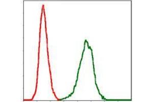 Flow cytometric analysis of NIH/3T3 cells using SERPINE1 mouse mAb (green) and negative control (red). (PAI1 antibody)