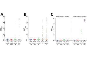 ELISA results using Goat Anti-Cat IgG HRP. (Goat anti-Cat IgG (Heavy & Light Chain) Antibody (HRP))
