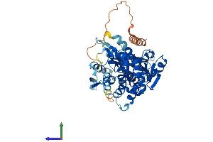 AlphaFold protein structure predicition of Human Recombinant DENND2D Protein, UniprotID Q9H6A0 (DENND2D Protein (AA 1-471) (His tag))