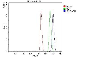 anti-N(alpha)-Acetyltransferase 38, NatC Auxiliary Subunit (NAA38) (AA 1-96) antibody