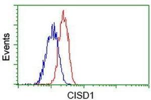 Flow Cytometric analysis of Jurkat cells using CISD1 antibody (Red), compared to a nonspecific negative control antibody (Blue).
