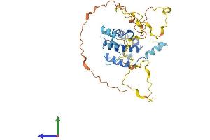 AlphaFold protein structure predicition of Human Recombinant CNN3 Protein, UniprotID Q15417