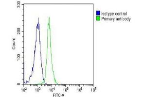 Overlay histogram showing Jurkat cells stained with (ABIN387785 and ABIN2838022)(green line). (SUMO1 antibody)