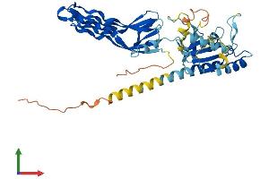 AlphaFold protein structure predicition of Human Recombinant GTPBP10 Protein, UniprotID A4D1E9