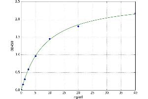 A typical standard curve