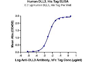 ELISA image for delta Like Protein 3 (DLL3) (AA 27-490) protein (His tag) (ABIN7274482)