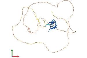 AlphaFold protein structure predicition of Mouse Recombinant Rbmy1a1 Protein, UniprotID O35698 (RBMY1A1 Protein (AA 1-380) (His tag))