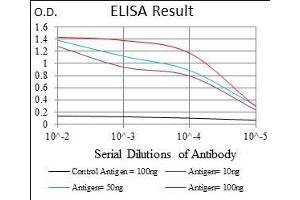 Black line: Control Antigen (100 ng), Purple line: Antigen(10 ng), Blue line: Antigen (50 ng), Red line: Antigen (100 ng), (ZFP42 antibody  (AA 249-310))