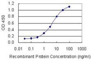 Detection limit for recombinant GST tagged SEC24A is 0. (SEC24A antibody  (AA 301-390))