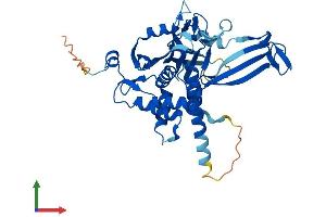 Protein Structure (PS) image for Ubiquitin Specific Peptidase 12 (USP12) (AA 1-370) protein (His tag) (ABIN7561176)