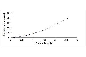 Typical standard curve (Complement C3 Convertase ELISA Kit)