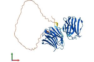 AlphaFold protein structure predicition of Mouse Recombinant Lgals9 Protein, UniprotID O08573 (Galectin 9 Protein (AA 1-353) (His tag))