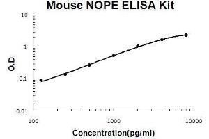 Mouse NOPE/IGDCC4 PicoKine ELISA Kit standard curve (IGDCC4 ELISA Kit)