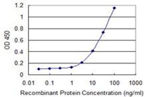 Detection limit for recombinant GST tagged VNN1 is 1 ng/ml as a capture antibody. (VNN1 antibody  (AA 298-397))