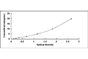 Typical standard curve