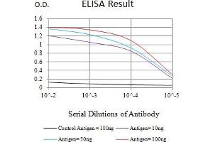 Black line: Control Antigen (100 ng),Purple line: Antigen (10 ng), Blue line: Antigen (50 ng), Red line:Antigen (100 ng) (WT1 antibody  (AA 1-181))