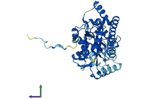 AlphaFold protein structure predicition of Mouse Recombinant Got1l1 Protein, UniprotID Q7TSV6