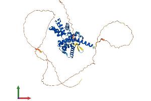 AlphaFold protein structure predicition of Mouse Recombinant Ccnl2 Protein, UniprotID Q9JJA7