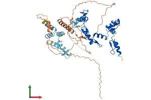 AlphaFold protein structure predicition of Human Recombinant ZSCAN30 Protein, UniprotID Q86W11 (ZNF446 Protein (AA 1-494) (His tag))